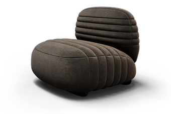 Eruca