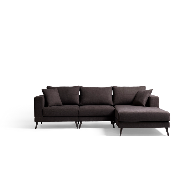 Dark gray sectional sofa on a white background