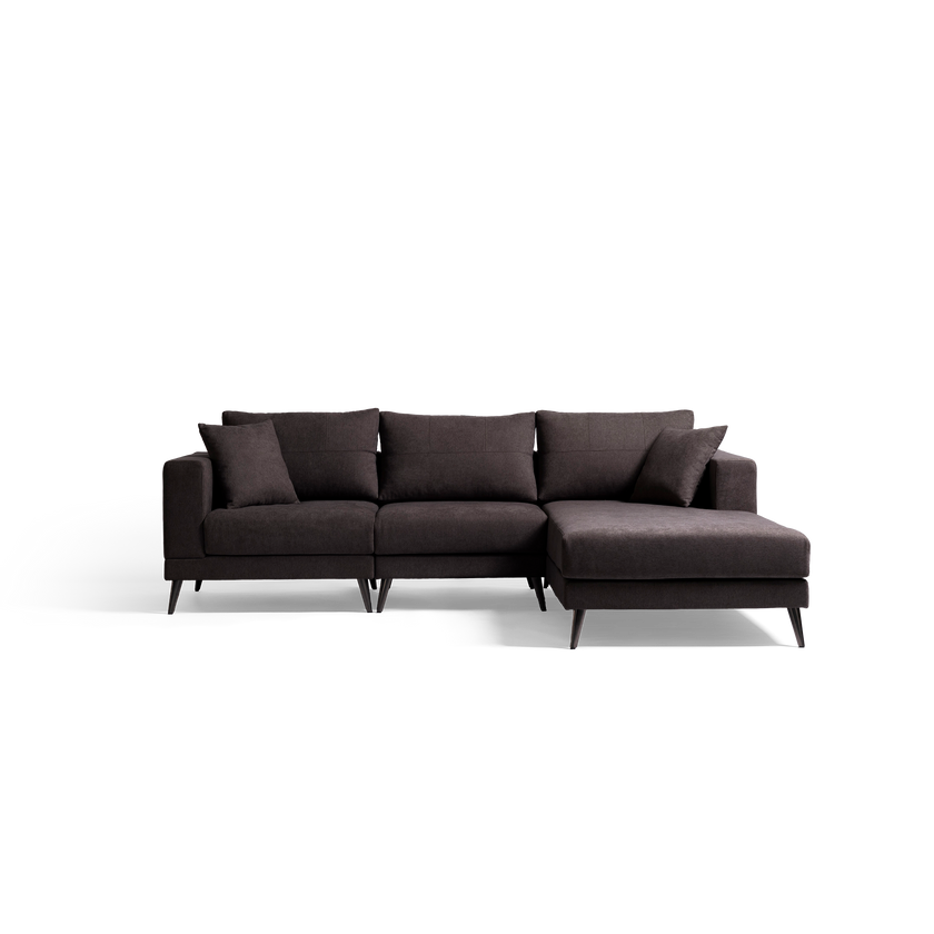 Dark gray sectional sofa on a white background